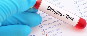 Dengue Profile At Home
